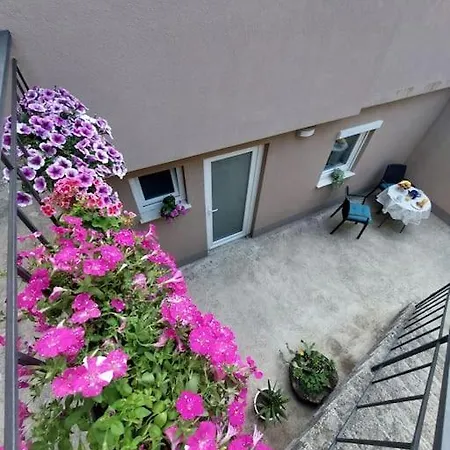 Vita * Bribir (Primorje-Gorski Kotar)